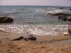 cala-de-calnegre-lorca