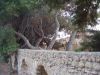 calnegre-mazarron