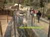 centro-recuperacion-fauna-el-valle-nutria