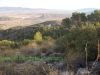 el-asiento-barinas