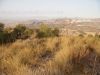 el-asiento-vistas