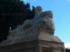 leon-del-malecon-murcia