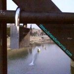 puente viejo murcia
