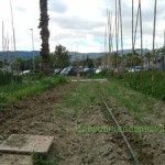 El Agroocio, una alternativa para la Huerta Huertos Ocio en Murcia