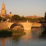 El Río Segura se encuentra bien de salud Rio Segura Murcia
