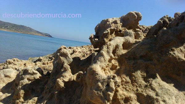 Calblanque Cartagena playas Nuestros chavales cuidan de los parques naturales