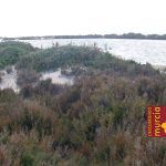Si os gusta el Mar, no os perdáis la “I Sea World Exhibition” de Lo Pagán salinas-san-pedro-pinatar