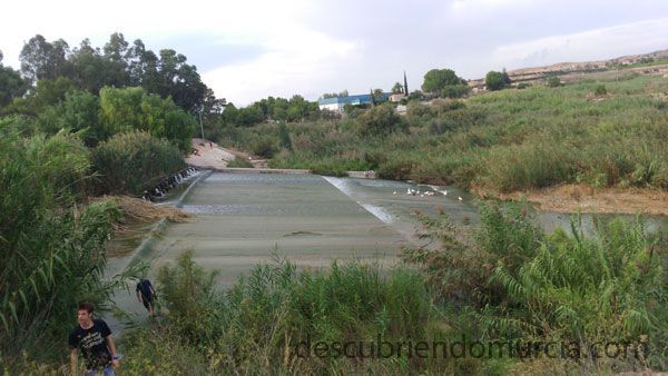 Contraparada Rio Segura La Contraparada, en estado de abandono