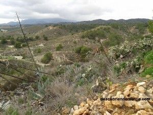 Sierra Carrascoy Corvera Murcia