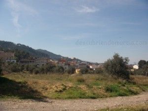 Algezares-Murcia