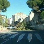Fuertes vientos Murcia palmera Rambla Churra