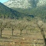 Moratalla nieve