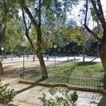 Se plantan especies autóctonas en el jardín del Malecón Jardin Botanico del Malecon Murcia
