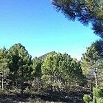 Pico del Buitre Moratalla