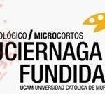 Festival Ecológico de Microcortos: La Luciérnaga Fundida La Luciernaga Fundida microcortos UCAM