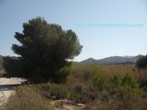 Turismo Rural Murcia