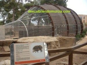Aviario Rapaces Murcia
