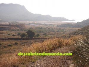 Bahia de Portman