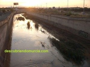 El Regueron El Palmar