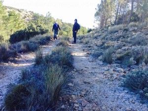 Sierra-Espuna-Murcia