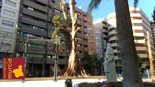 ficus santo domingo murcia Se restaurará la escultura de Ricardo Codorniú en el jardín de Santo Domingo