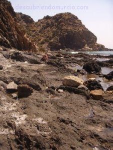 Calnegre Murcia