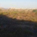 La-Manga-Amoladeras