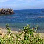 Fotos Murcia, nuestros fotógrafos hablan de la Región Cala-Flores-Cabo-de-Palos