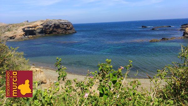 Cala Flores Cabo de Palos Fotos Murcia, nuestros fotógrafos hablan de la Región