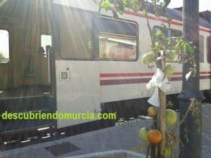 Estacion Tren Murcia El Carmen