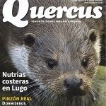 Quercus