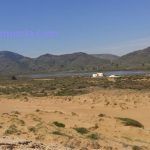 Salinas del Rasall y Marchamalo, refugio para la fauna del Mar Menor Salinas del Rasall. Calblanque.