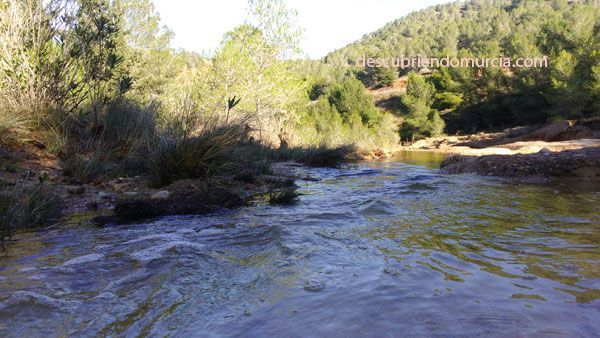 charcas-puerto-cadena-murcia