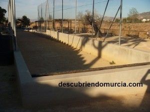 Bolos Murcianos