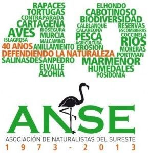 Asociacion ANSE