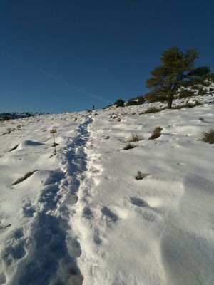 Sierra Moratalla Revolcadores Montañas de la Región de Murcia. Doce miles y un dos mil
