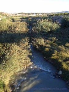 Contraparada rio Segura
