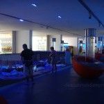 Trece colmillos de elefante, un regalo en Isla Grosa museo-cartagena-arqua