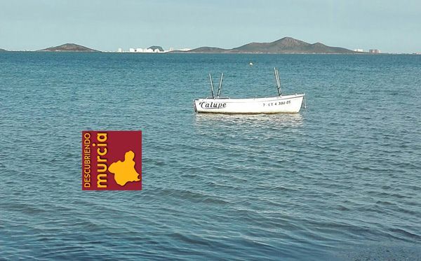 Mar Menor Descubrir los valores del Mar Menor con Asociación ANSE