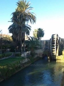 Noria-Alcantarilla-Murcia