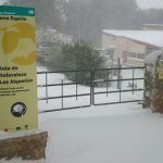 Día Mundial de las Aves 2016 en la Región de Murcia Un rincón en Sierra Espuña