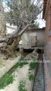 El Partidor rio Chicamo Abanilla Murcia 169x300 Una ruta senderista por el río Chícamo y sus pozas