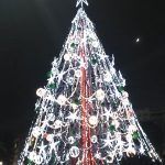 Murcia arbol navidad 150x150 Replantar los árboles de navidad