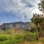 Bonitas fotos de la floración en los campos de la Región de Murcia La Azohía Cartagena. Bahía de Mazarrón