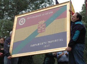 Scout-Murcia