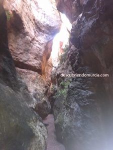 estrecho-de-la-arboleja-aledo