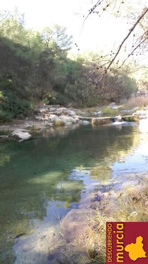 Alharabe Moratalla El galápago leproso autóctono que resiste en aguas contaminadas