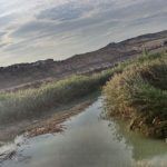 Tartessos, Namnatio, Masienos, Cabo Trete, Isla Strongile y el río Teodoro El río Teodoro según Euthymenes