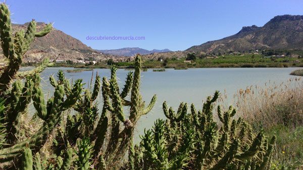 valle de ricote Valle de Ricote, tierra de místicos y revueltas moriscas