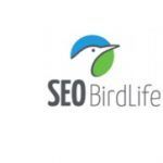 Día Mundial de las Aves 2017. Actividades Naturales Bird-Life-Dia-Mundial-Aves